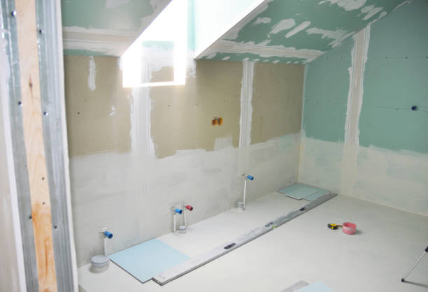 Best Ceiling Drywall Installation  in Desoto Lakes, FL